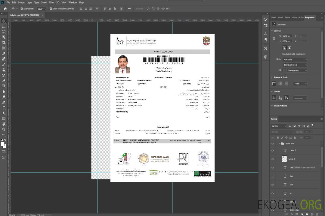 Modèle de visa électronique des Émirats arabes unis aux formats Word et PDF, version 4 template